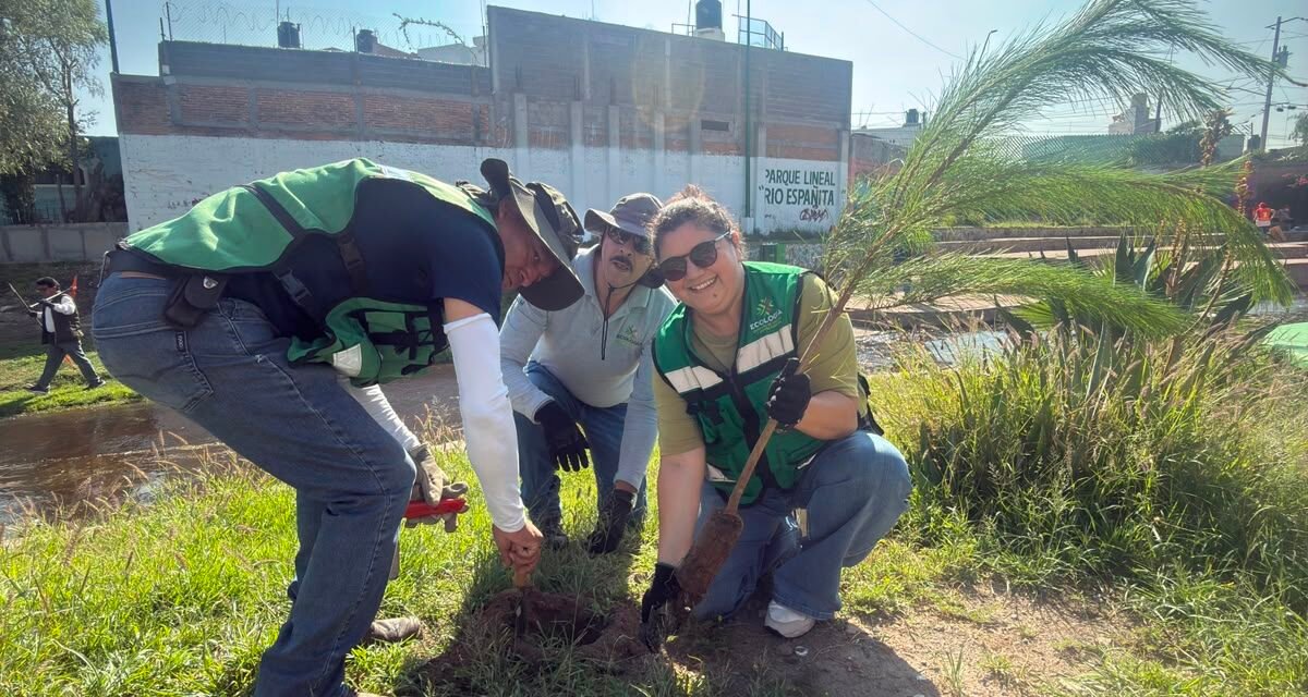 SEGAM REFORESTA CON 600 EJEMPLARES Y ENTREGA 200 ÁRBOLES FRUTALES