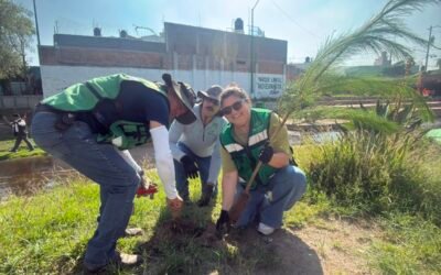 SEGAM REFORESTA CON 600 EJEMPLARES Y ENTREGA 200 ÁRBOLES FRUTALES