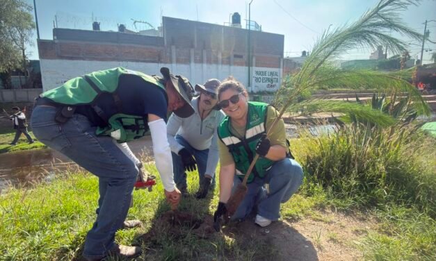 SEGAM REFORESTA CON 600 EJEMPLARES Y ENTREGA 200 ÁRBOLES FRUTALES