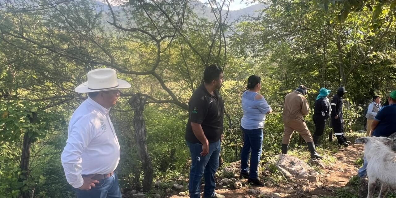 GOBIERNO DEL ESTADO MANTIENE VIGILANCIA PERMANENTE CONTRA LANGOSTA CENTROAMERICANA