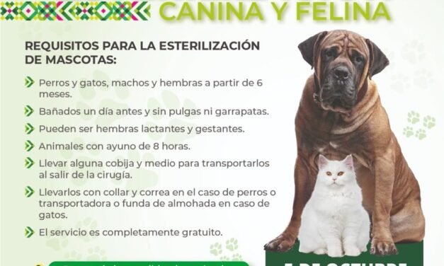 MEGAJORNADA GRATUITA OFRECERÁ 200 ESTERILIZACIONES Y VACUNACIÓN ANTIRRÁBICA