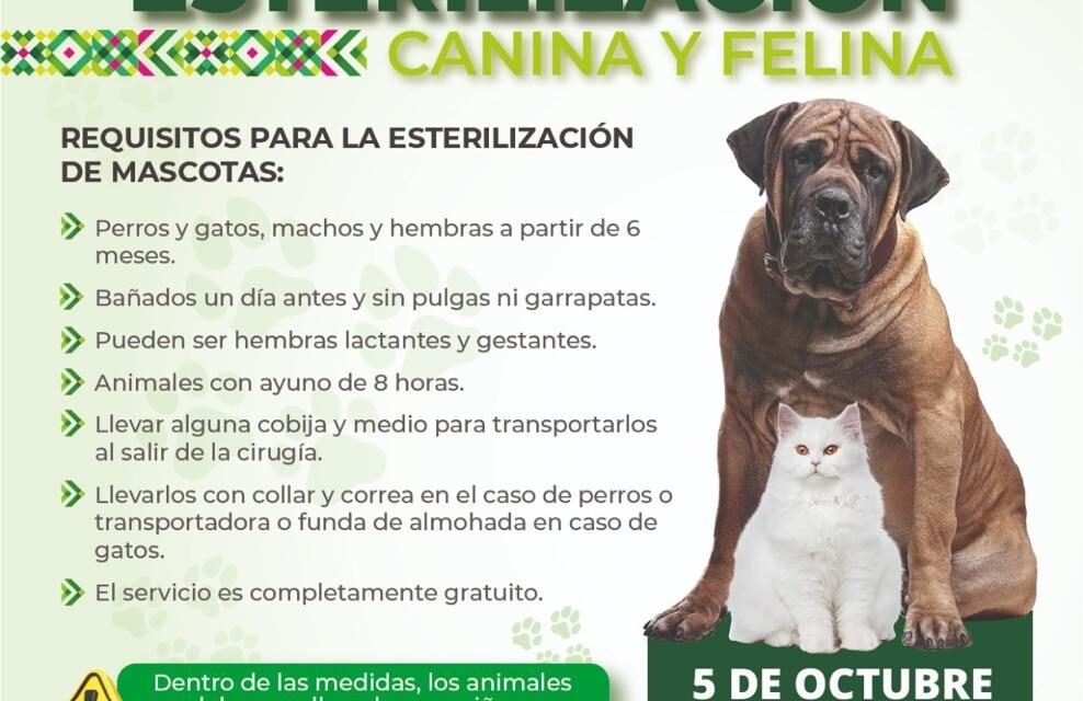 MEGAJORNADA GRATUITA OFRECERÁ 200 ESTERILIZACIONES Y VACUNACIÓN ANTIRRÁBICA