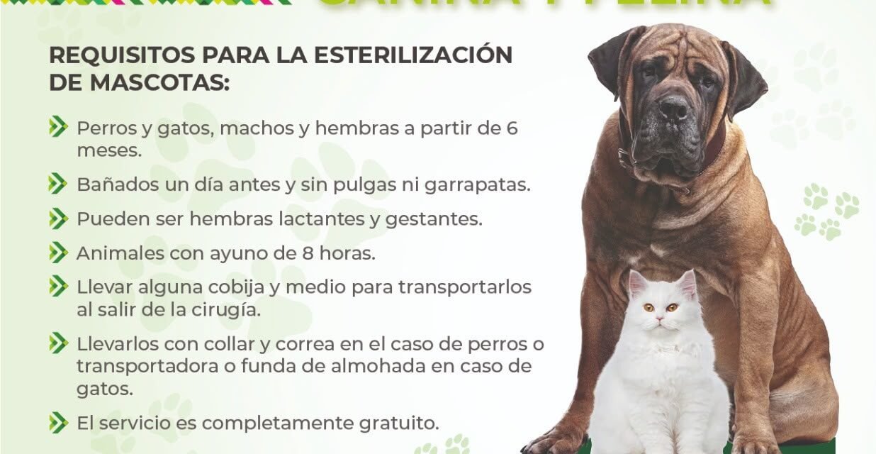 MEGA JORNADA GRATUITA REALIZA 275 ESTERILIZACIONES DE PERROS Y GATOS EN SAN LUIS POTOSÍ