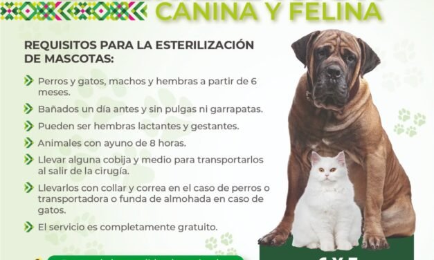 MEGA JORNADA GRATUITA REALIZA 275 ESTERILIZACIONES DE PERROS Y GATOS EN SAN LUIS POTOSÍ