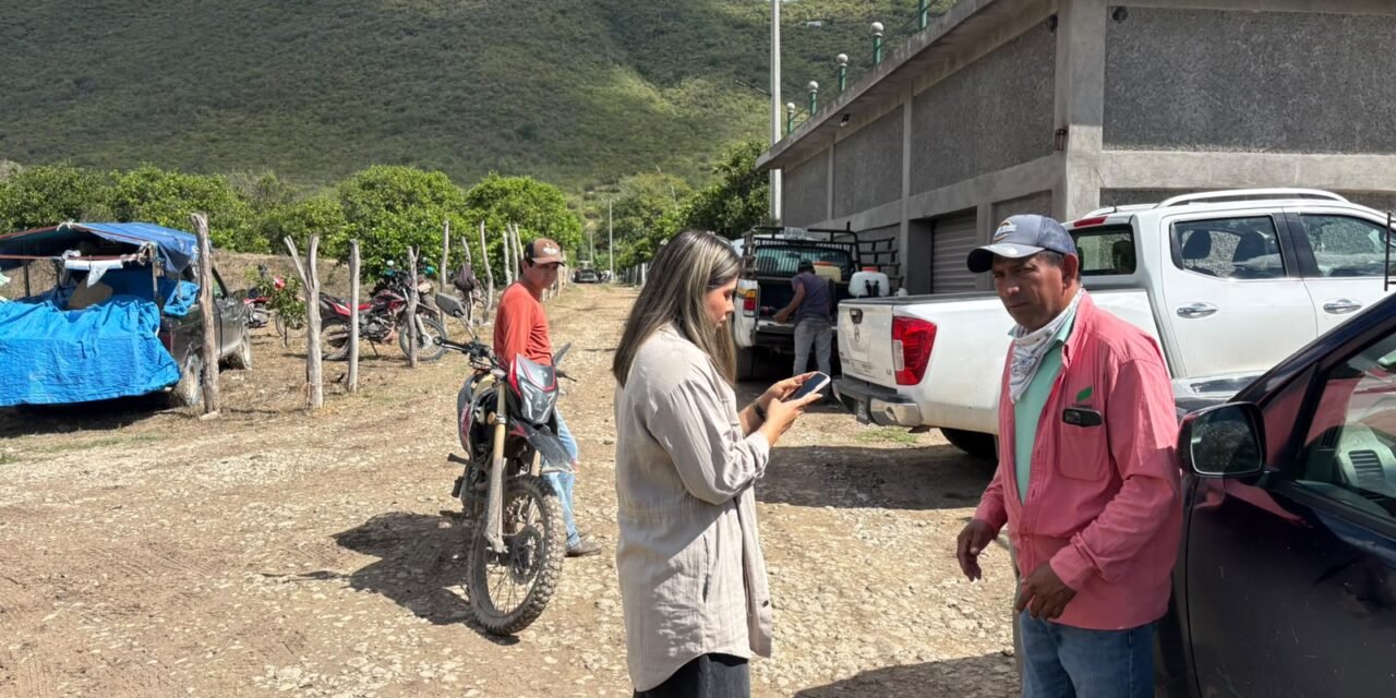 GOBIERNO ESTATAL AMPLÍA OPERATIVO CONTRA PLAGA DE LANGOSTA EN LA REGIÓN MEDIA